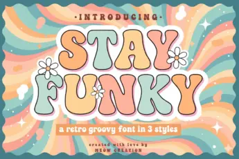 Stay Funky font — colorful retro groovy typeface with bold rounded letters and daisy flower accents, inspired by 70s design. Perfect for vintage posters, t-shirts, branding, and creative typography projects that need a fun and funky vibe