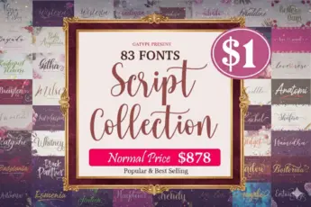 A promotional image for the “Script Collection Font Bundle” featuring 83 elegant calligraphy and handwritten fonts. The central design has a soft pink background with bold text reading: “83 Fonts Script Collection – Normal Price $878,” and a large pink circle showing the sale price of “$1.” Surrounding the main area are previews of various stylish fonts with names such as “Wisteria,” “Melinda,” “Baby Angelonia,” “Milsey,” “Whitney,” “Rachel,” “Shadow,” and “Rugatoghe.” The overall design has a romantic and creative aesthetic, appealing to designers seeking graceful and feminine typefaces for weddings, branding, and print projects.