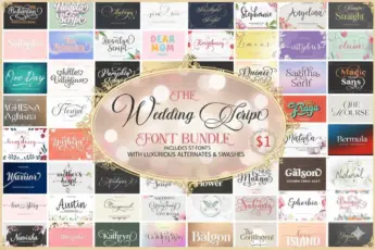A promotional graphic for “The Wedding Script Font Bundle,” featuring elegant calligraphy typefaces. The central ornate gold frame with a soft pink background reads: “The Wedding Script Font Bundle — Includes 57 Fonts with Luxurious Alternates & Swashes,” and highlights a sale price of $1. Surrounding the main design are sample previews of beautiful script and serif fonts with names like “Baltianna,” “Rosalyn Script,” “Hello Valentina,” “Aghisna,” “Love Story,” “Navisha,” “Golden Way,” and “Be Fraga.” The design evokes a romantic, luxurious, and feminine aesthetic, perfect for wedding invitations, branding, and elegant print projects.