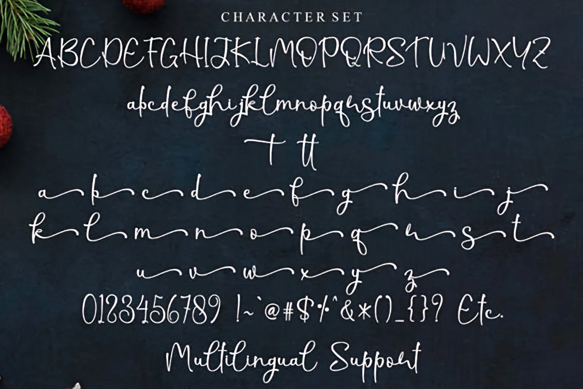 Christmas Shine elegant handwritten script font displayed on a dark textured background with pine branches, stars, and soft holiday accents.